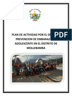 Plan Del Adolentes