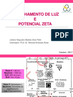 DLS e Potencial Zeta PDF
