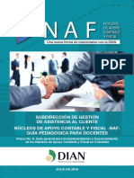 Cartilla DIAN-NAF - Febrero 2019 PDF