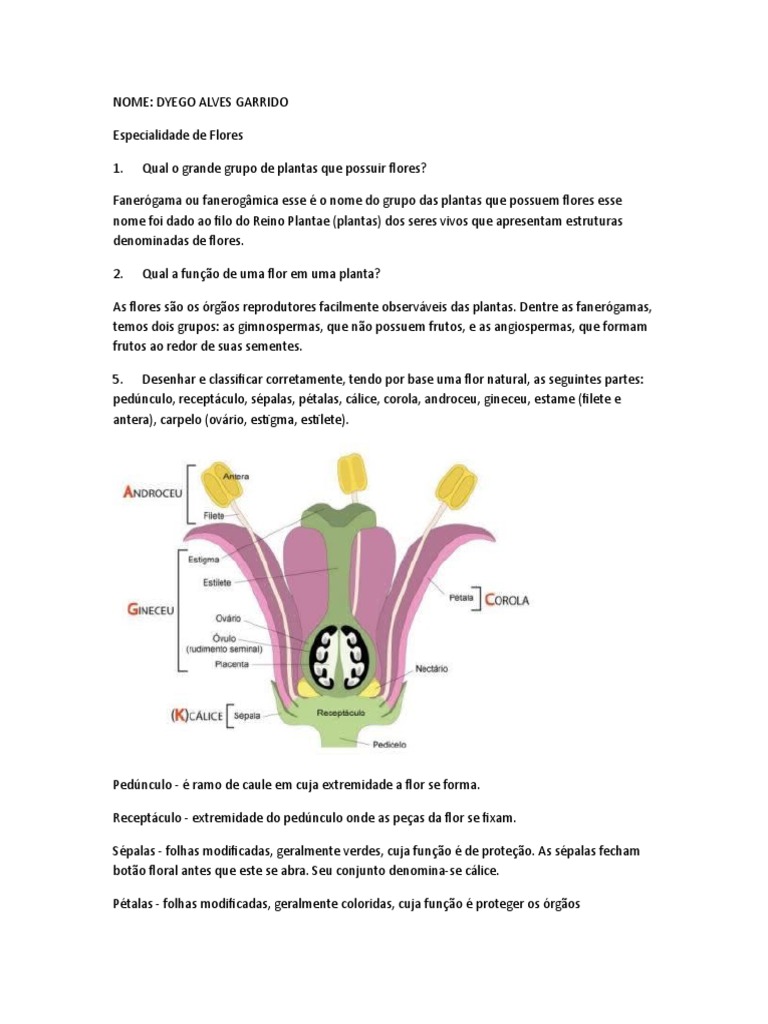 Especialidade de flores e polinização | PDF | Flores | Polinização