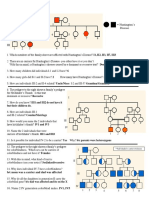 Pedigree Worksheet Answer Key