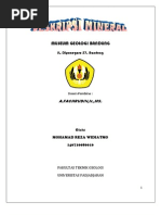 Download Deskripsi Mineral by Fraztya Hebby SN43968687 doc pdf