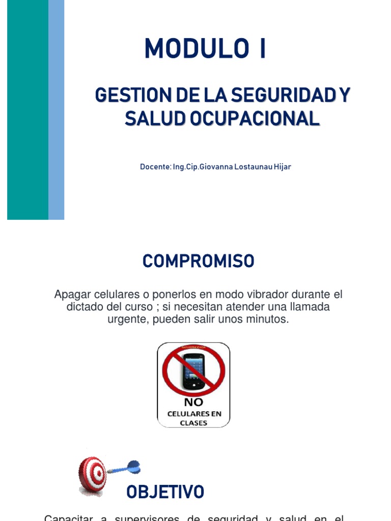 Modulo 1 Gestion de La SSOMA PDF | PDF | Seguridad y salud ocupacional ...
