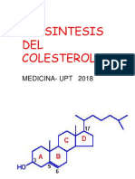 Colesterol Biosintesi2018 UPT0001