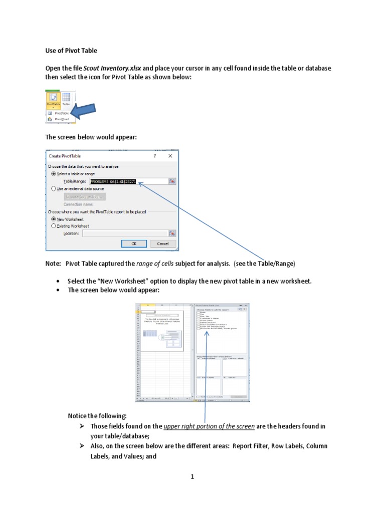 Pivot Table Guide for Excel Users | PDF | Areas Of Computer Science | Data