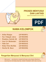 KLP 1 Konsep Dasar Ibu Menyusui