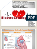 Electrocardiogram A