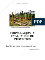 FORMULACION_Y_EVALUACION_DE_PROYECTOS_FO.pdf