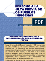 Los Derechos de Los Pueblos Indigenas Lecc 7