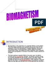 19568819-biomagnetism