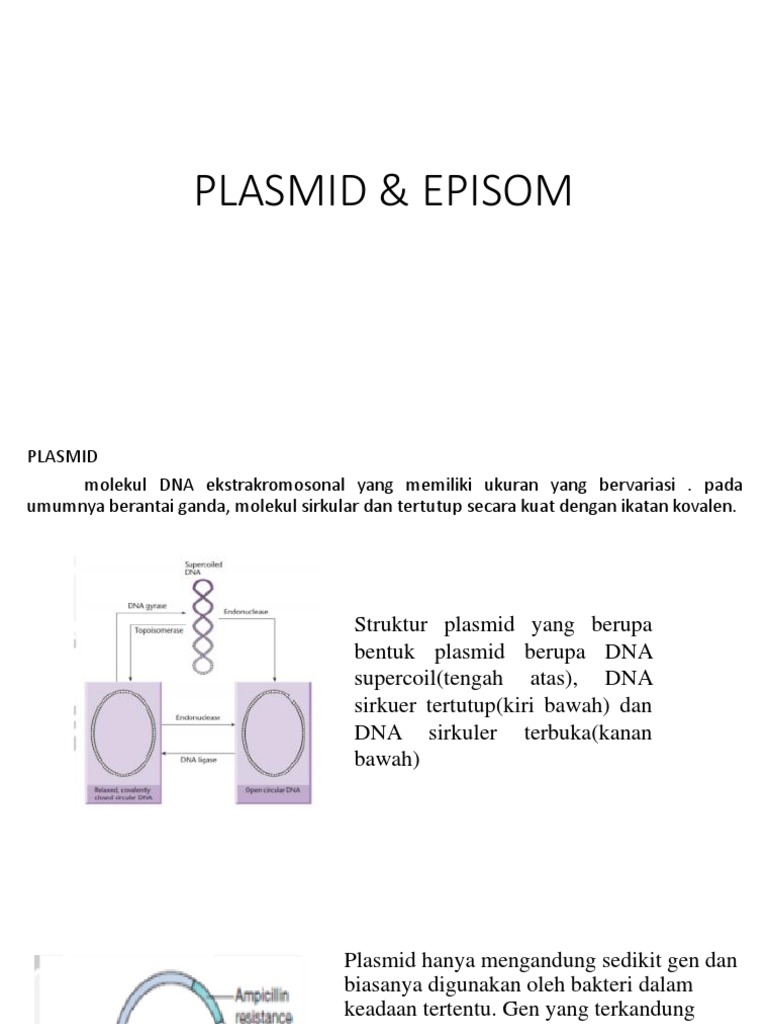 PLASMID & EPISOM (Aan Dan Iil) | PDF | Sains & Matematika