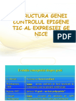Cursul 6 - Structura Genei. Controlul Epigenetic Al Expresiei Genice