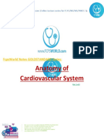 Anatomy cvs1 PDF
