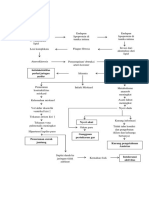 Pathway Stemi