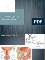 Stricture Urethral