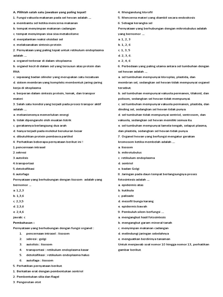 Panduan Lengkap: Download Soal UAS Biologi Kelas XI Semester 1 PDF untuk Persiapan Maksimal
