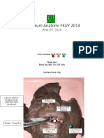 Anatomi GIT 2014 - Square PDF