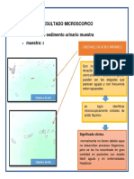 RESULTADO MICROSCOPICO