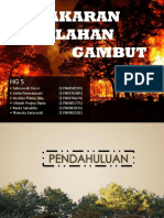 HG 5 - Kebakaran Lahan Gambut