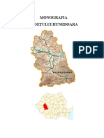 Monografie_Hunedoara.pdf