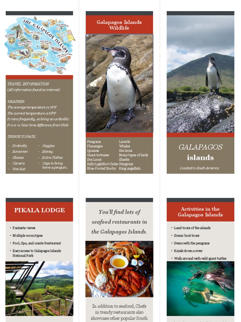 Galapagos Islands Brochure Pdf Galápagos Islands Organisms