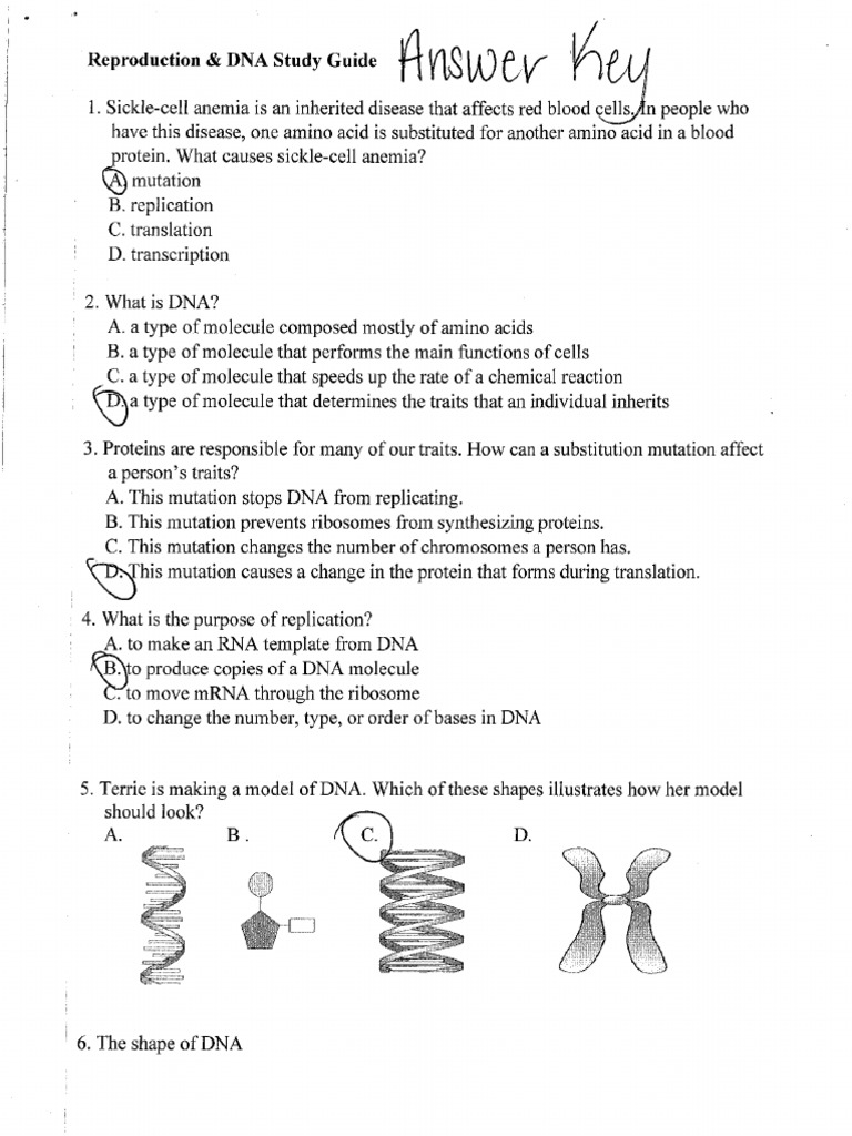 Reproduction and Dna Study Guide Key | PDF
