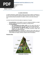 La Cadena Alimenticia y Teoría de Sistemas