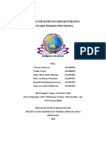 KLP 2 Pneumonia