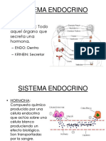 Sistema endocrino