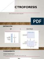 Electroforesis 2D 2