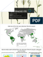 3.2 Las Selvas Tropicales Caracterizan La Zona Ecuatorial