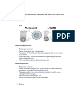 Tumbuhan Monokotil Dan Dikotil