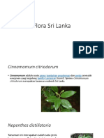Flora Sri Lanka