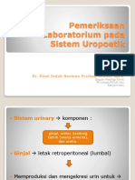 PK - Pemeriksaan Laboratorium Pada Sistem Uropoetik-Indah, 2