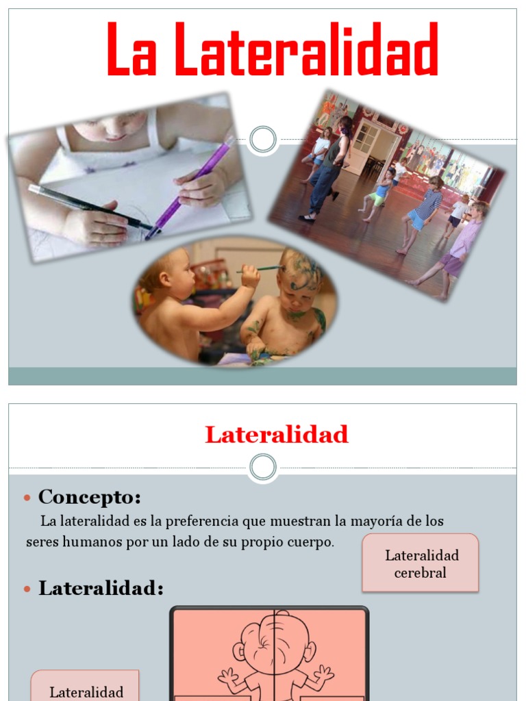 Definición y Tipos de Lateralidad | PDF | Handedness | Cerebro