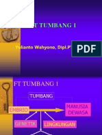 FT-A Tumbang Embrional D-3