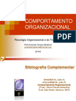 Comportamento Organizacional: O Estudo do Comportamento Humano no Trabalho