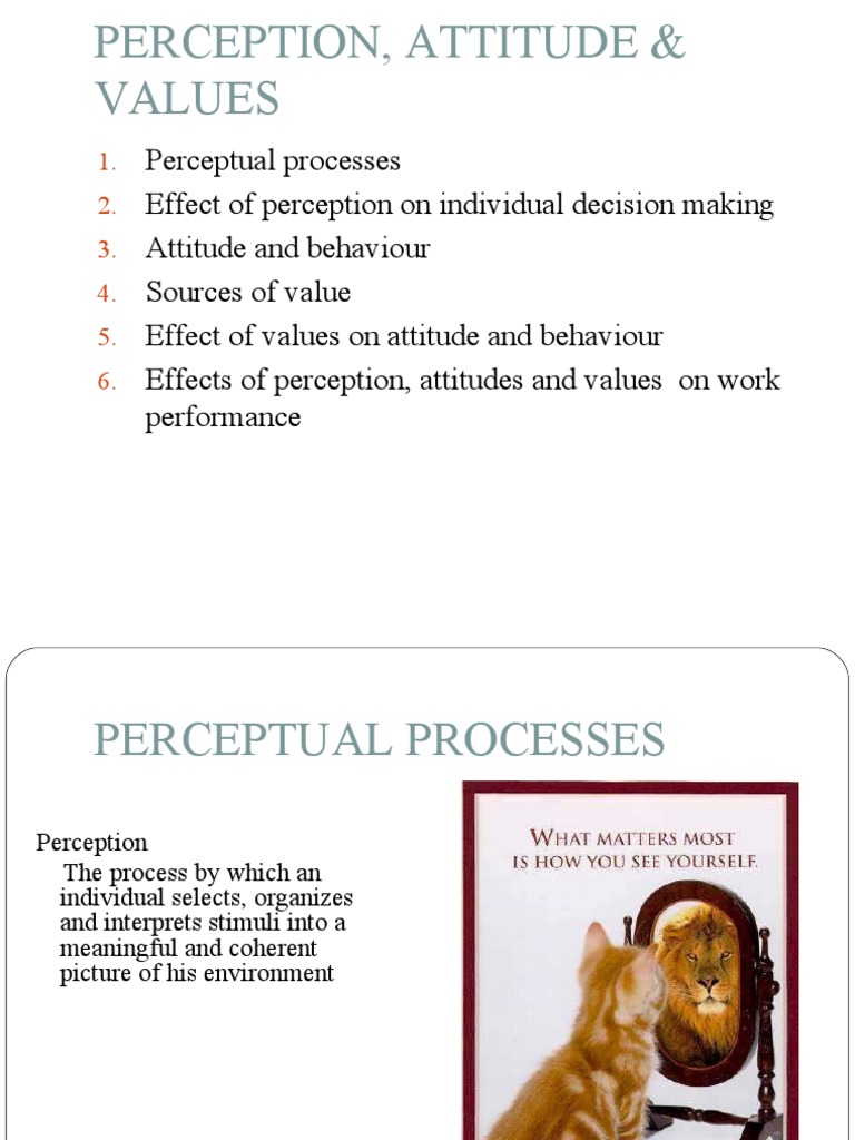 Perception, Attitude, and Values Explained | PDF | Perception ...