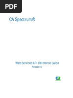 spectrum web api.pdf