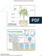 [thieme] - mortimer.pdf