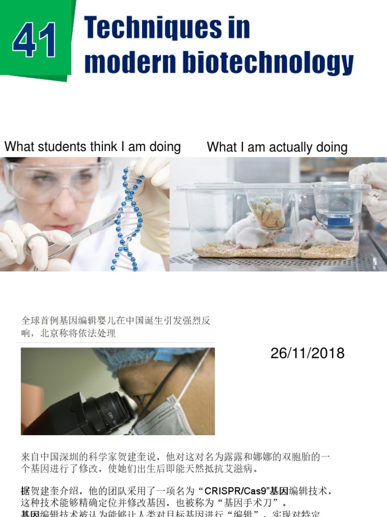 Modern Biotechnology Techniques Overview | PDF | Polymerase Chain ...