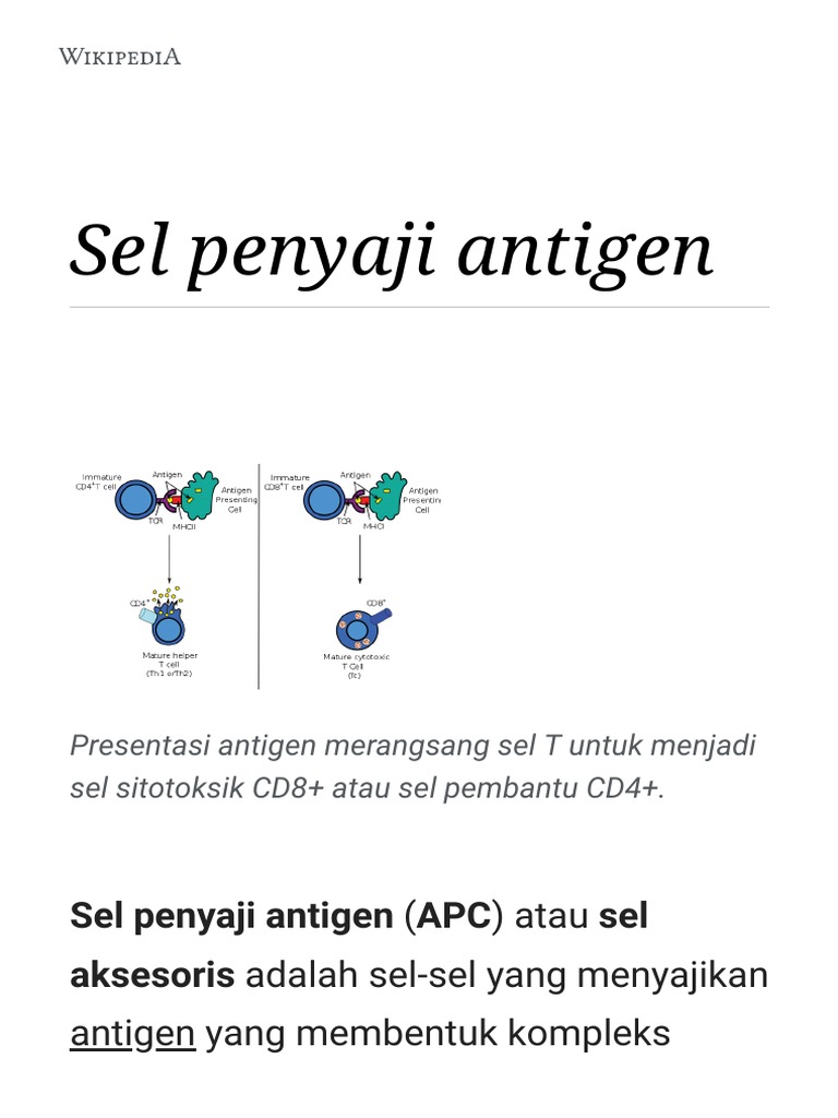 Sel Penyaji Antigen Wikipedia Bahasa Indonesia, Ensiklopedia Bebas PDF
