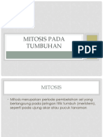 Mitosis Pada Tumbuhan