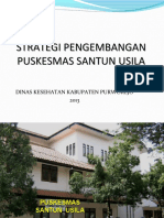 PUSKESMAS SANTUN LANSIA.pdf