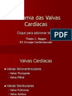 Anatomia Das Valvas Cardíacas
