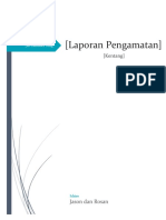 Laporan Perkembangbiakan Vegetatif Pada Kentang