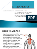 Otot Trapezius