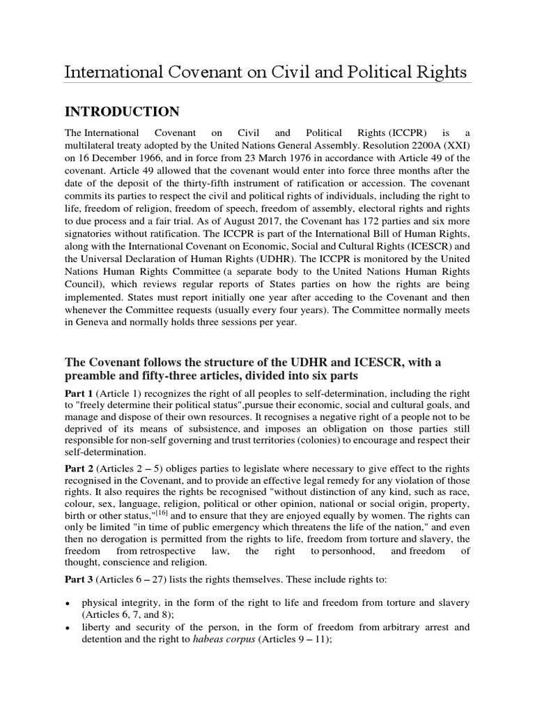 international-covenant-on-civil-and-political-rights-pdf-european