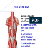 Muscles of Back Lectureff.pdf