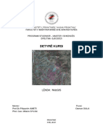 Pershkrimi I Detyres WebGis PDF